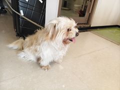 -瑞鹏宠物医院(大运分院)