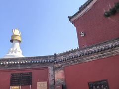 -五台山风景名胜区-罗睺寺