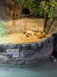 -Zoolung Zoolung动物主题公园(海信广场店)