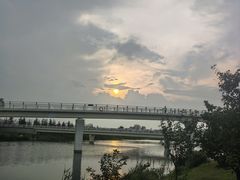 -羊亭河湿地公园