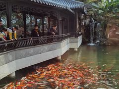 -苏苑饭店-中餐厅(长桥地区店)