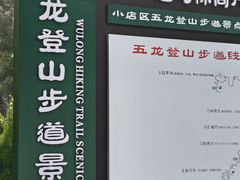 -五龙城郊森林公园