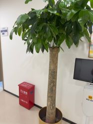 -丰联丽格医疗美容·联合丽格眼整形中心