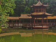 -铁山坪森林公园