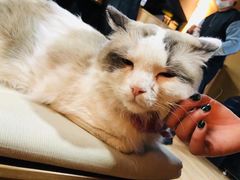 -白兔子密室(长寿路店)