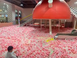 -宝燕乐园(闵行旗舰店)