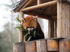 -北京野生动物园