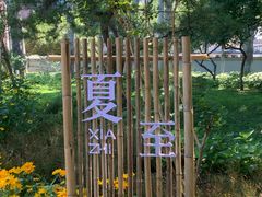 -莲花池公园