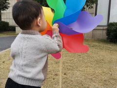 -歌斐颂巧克力小镇