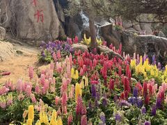 -沂蒙云瀑洞天景区
