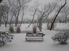 金孔雀温泉旅游度假村-金孔雀温泉旅游度假村