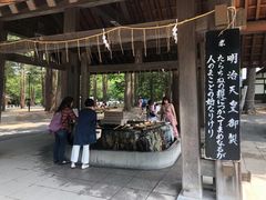 -北海道神宫