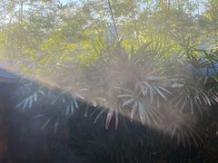 -庐山天沐温泉度假村