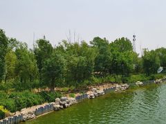 -大兴滨河森林公园