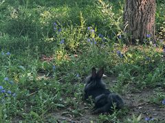 -水上乐园·欢乐世界