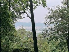 -火炉山森林公园