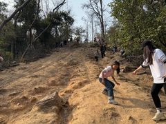 -青龙山国家森林公园