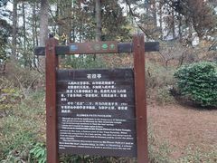 -庐山风景区花径公园