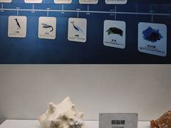 -重庆欢乐海底世界