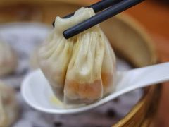 -莱莱小笼·乔艾