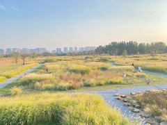 -汉长安城未央宫国家考古遗址公园