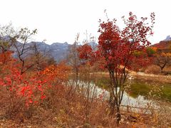 -周口店坡峰岭风景区