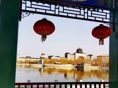 -莲花池公园
