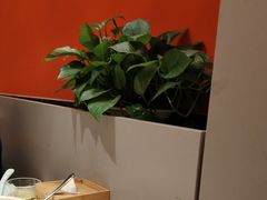 -全牛匠·乐山跷脚牛肉(西北旺万象汇店)