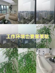 -HEYAN荷妍专业脱毛连锁机构