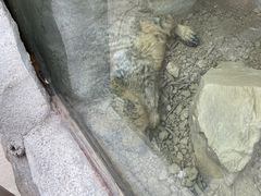 -广州长隆飞鸟乐园