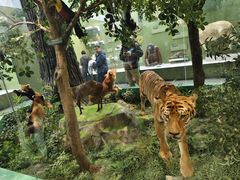 -国家自然博物馆