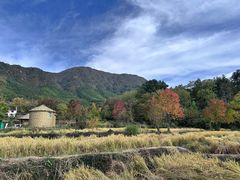 -塔川景区