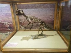 -国家自然博物馆