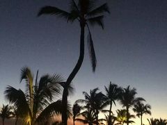 -塞尔夫岛