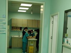 -北京观赏动物医院·24小时大型综合·猫专科·异宠专科