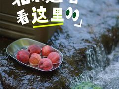 -温都水城·水梦奇缘