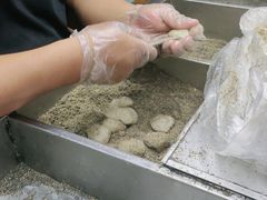 -叶氏麻糍(鼓浪屿店)