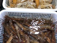 -王四营海鲜市场