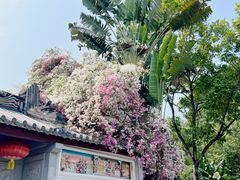 -深圳国际园林花卉博览园