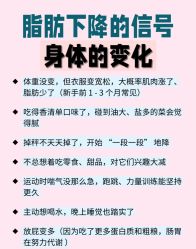 -Fundi张玉珊修身堂·indiba·BTL科技瘦身