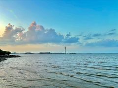 -上海吴淞炮台湾国家湿地公园