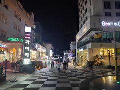 -宝健路步行街(Pedestrian Shopping Street)