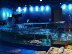 水产区-龙船人海鲜城(长治路店)