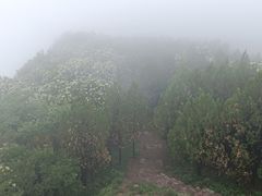 -阳台山自然风景区