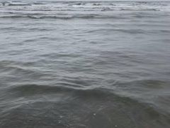 -大鹿岛