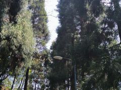 -贵州省植物园