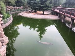 -石家庄市动物园