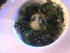 -Ocean's Table 欧舍