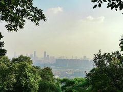 -火炉山森林公园