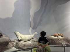 -中国湿地博物馆